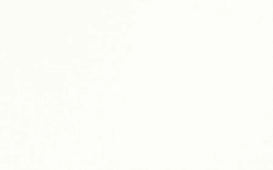 Chiffon