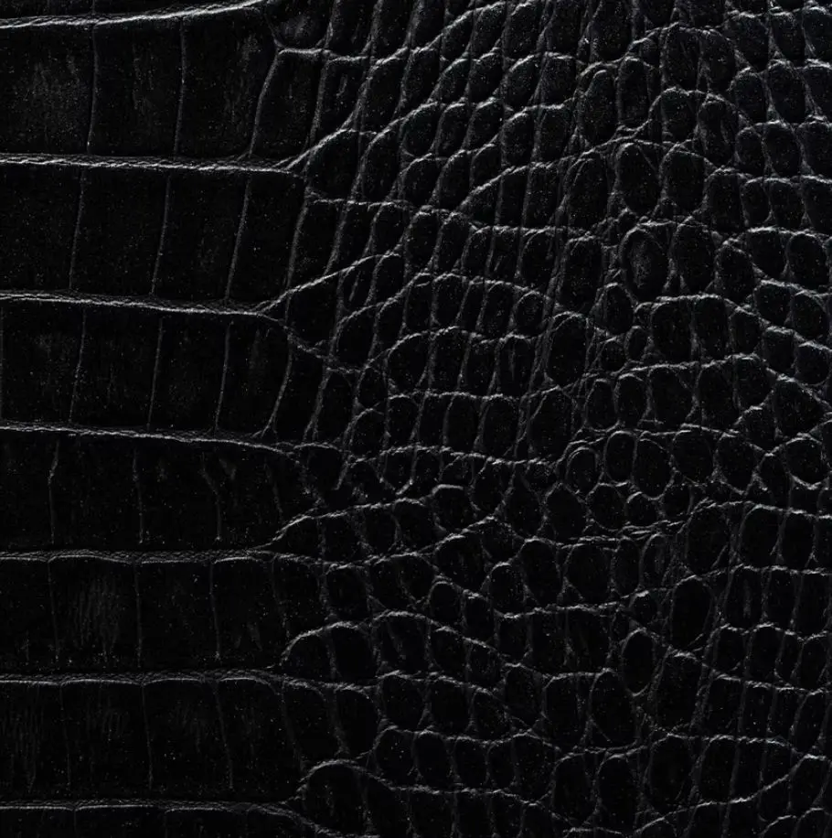 Coal Crocodile