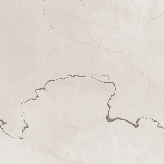 Fossil Surface